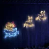 WeRChristmas Christmas Characters|Outdoor Lighted Reindeer^Animated Reindeer With Santa Sleigh Rope Light Silhouette, 1 M