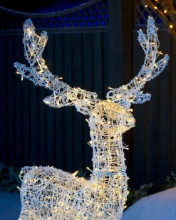 WeRChristmas Outdoor Lighted Reindeer^3D Acrylic Reindeer Decoration, 122 Cm