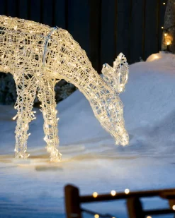 WeRChristmas Outdoor Lighted Reindeer^3D Acrylic Reindeer Decoration, 90 Cm
