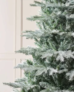 WeRChristmas Budget Christmas Trees|Snow Flocked Christmas Trees^Frosted Siberian Mixed Pine Christmas Tree, 6 Ft