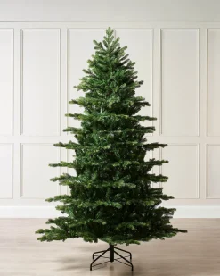 WeRChristmas Budget Christmas Trees|Unlit Christmas Trees^Himalayan Fir Christmas Tree, 5 Ft