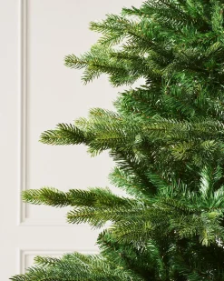 WeRChristmas Budget Christmas Trees|Unlit Christmas Trees^Himalayan Fir Christmas Tree, 5 Ft