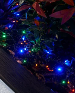 WeRChristmas Link Pro|Connectable Lights^LINK PRO LED Cluster Lights, Black Cable, Multi Colour