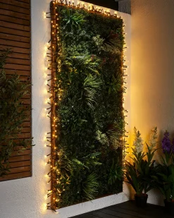 WeRChristmas Link Pro|Cluster Lights^LINK PRO LED Cluster Lights, Black Cable, Warm White