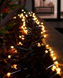 WeRChristmas Link Pro|Cluster Lights^LINK PRO LED Cluster Lights, Black Cable, Warm White