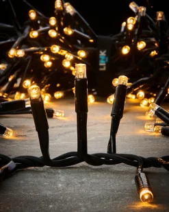 WeRChristmas Link Pro|Cluster Lights^LINK PRO LED Cluster Lights, Black Cable, Warm White