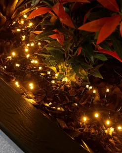 WeRChristmas Link Pro|Cluster Lights^LINK PRO LED Cluster Lights, Black Cable, Warm White