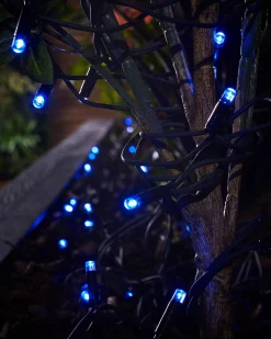 WeRChristmas Link Pro|Fairy Lights^LINK PRO LED String Lights, Black Cable, Blue
