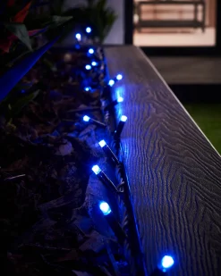 WeRChristmas Link Pro|Fairy Lights^LINK PRO LED String Lights, Black Cable, Blue
