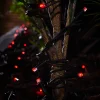 WeRChristmas Link Pro|Fairy Lights^LINK PRO LED String Lights, Black Cable, Red