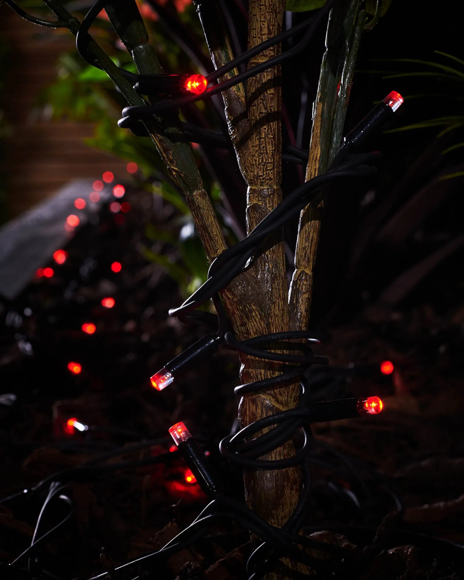 WeRChristmas Link Pro|Fairy Lights^LINK PRO LED String Lights, Black Cable, Red