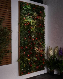 WeRChristmas Link Pro|Fairy Lights^LINK PRO LED String Lights, Black Cable, Red