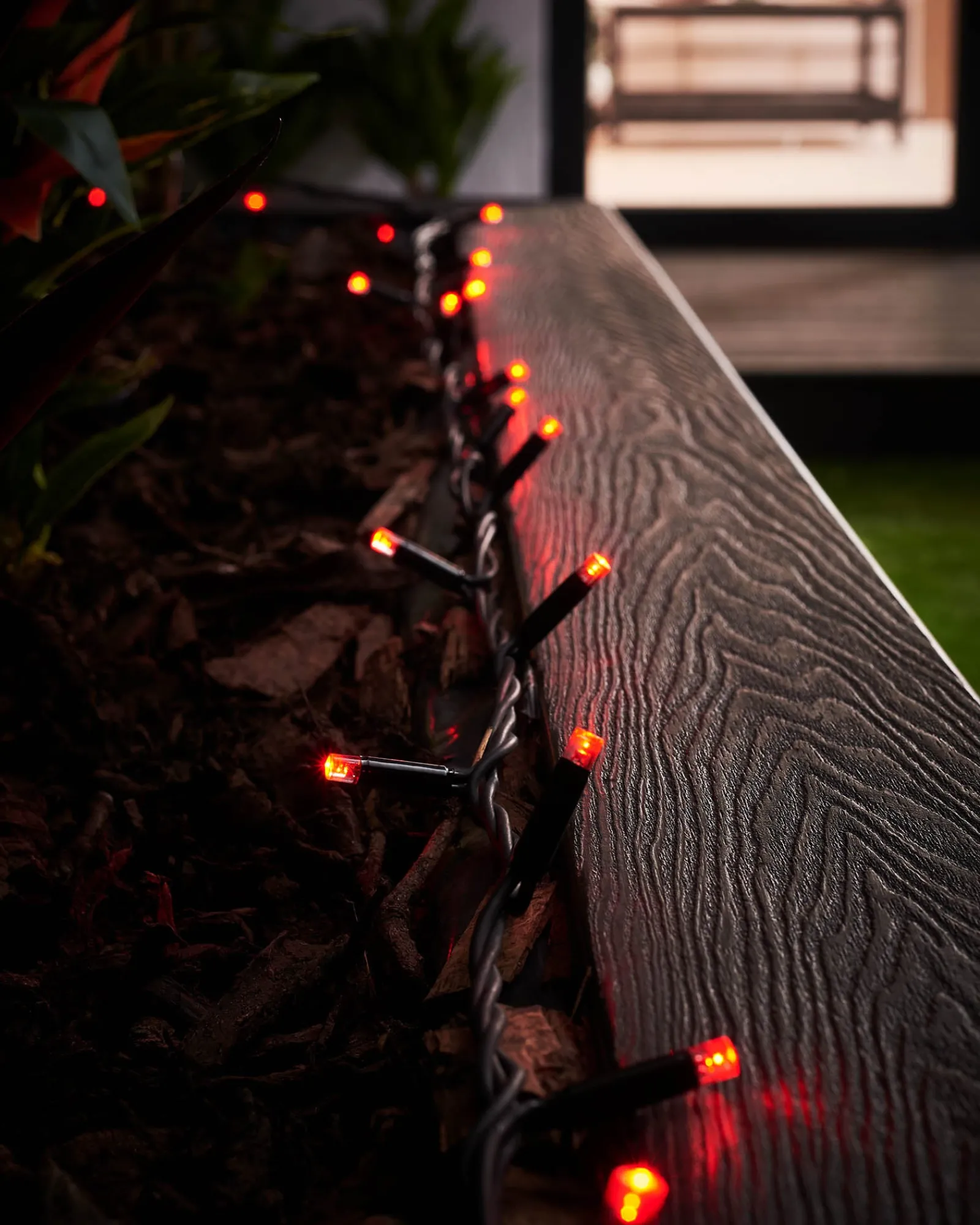 WeRChristmas Link Pro|Fairy Lights^LINK PRO LED String Lights, Black Cable, Red