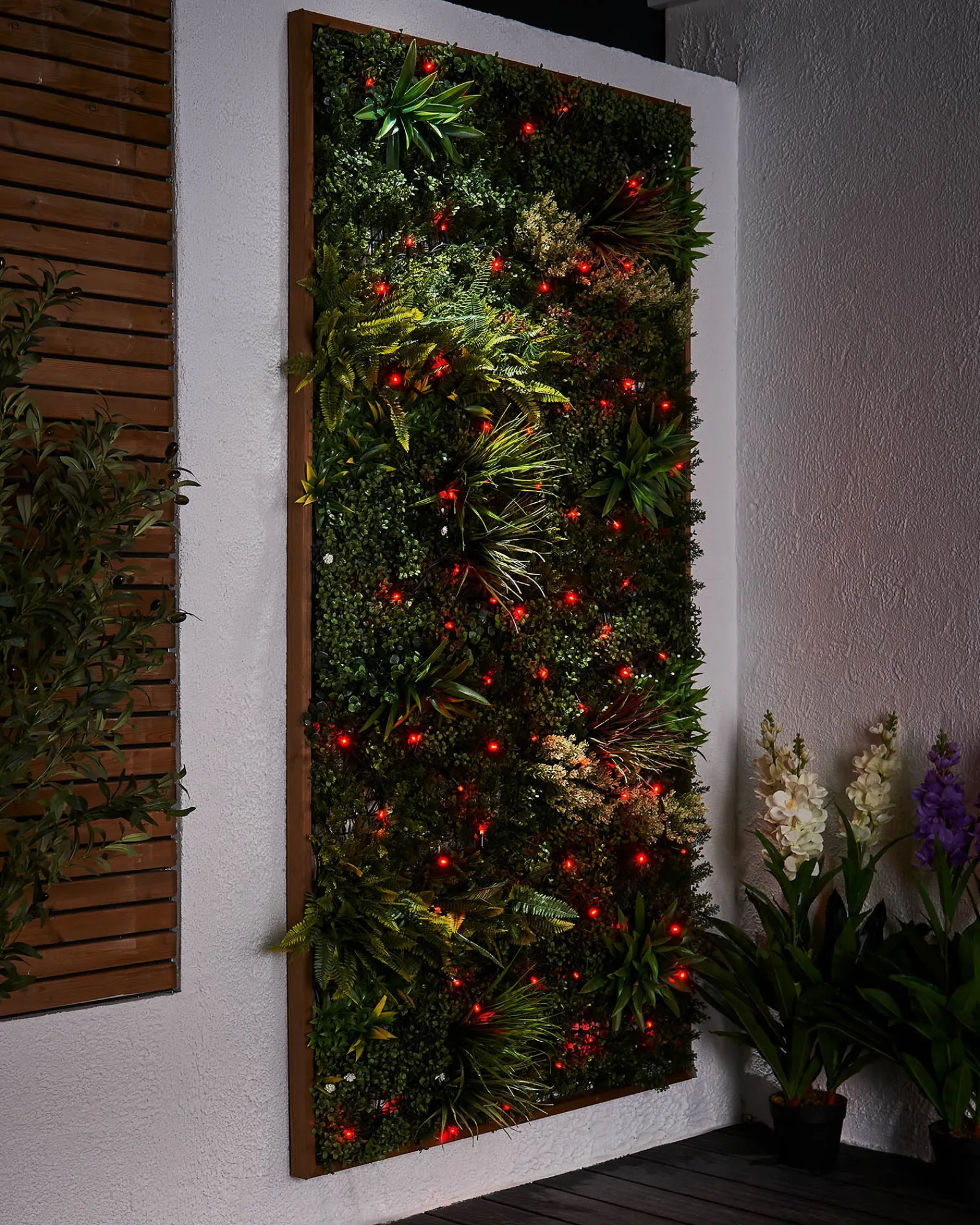 WeRChristmas Link Pro|Fairy Lights^LINK PRO LED String Lights, Black Cable, Red