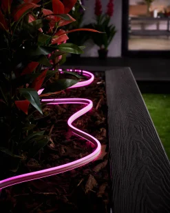 WeRChristmas Link Pro|Connectable Lights^LINK PRO Neon Flex, Made To Measure, Pink