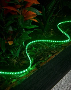 WeRChristmas Link Pro|Connectable Lights^LINK PRO Strip Light, Made To Measure, Green