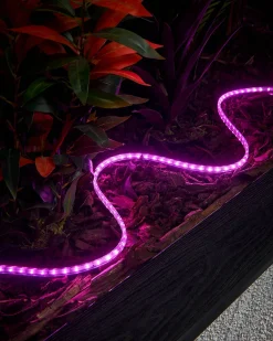 WeRChristmas Link Pro|Connectable Lights^LINK PRO Strip Light, Made To Measure, Pink