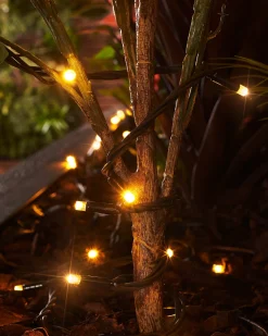 WeRChristmas Link Pro|Fairy Lights^LINK PRO Twinkle LED String Lights, Black Cable, Warm White
