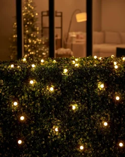 WeRChristmas Link Up|Fairy Lights^LINK UP LED Berry Lights, Black Cable, Warm White