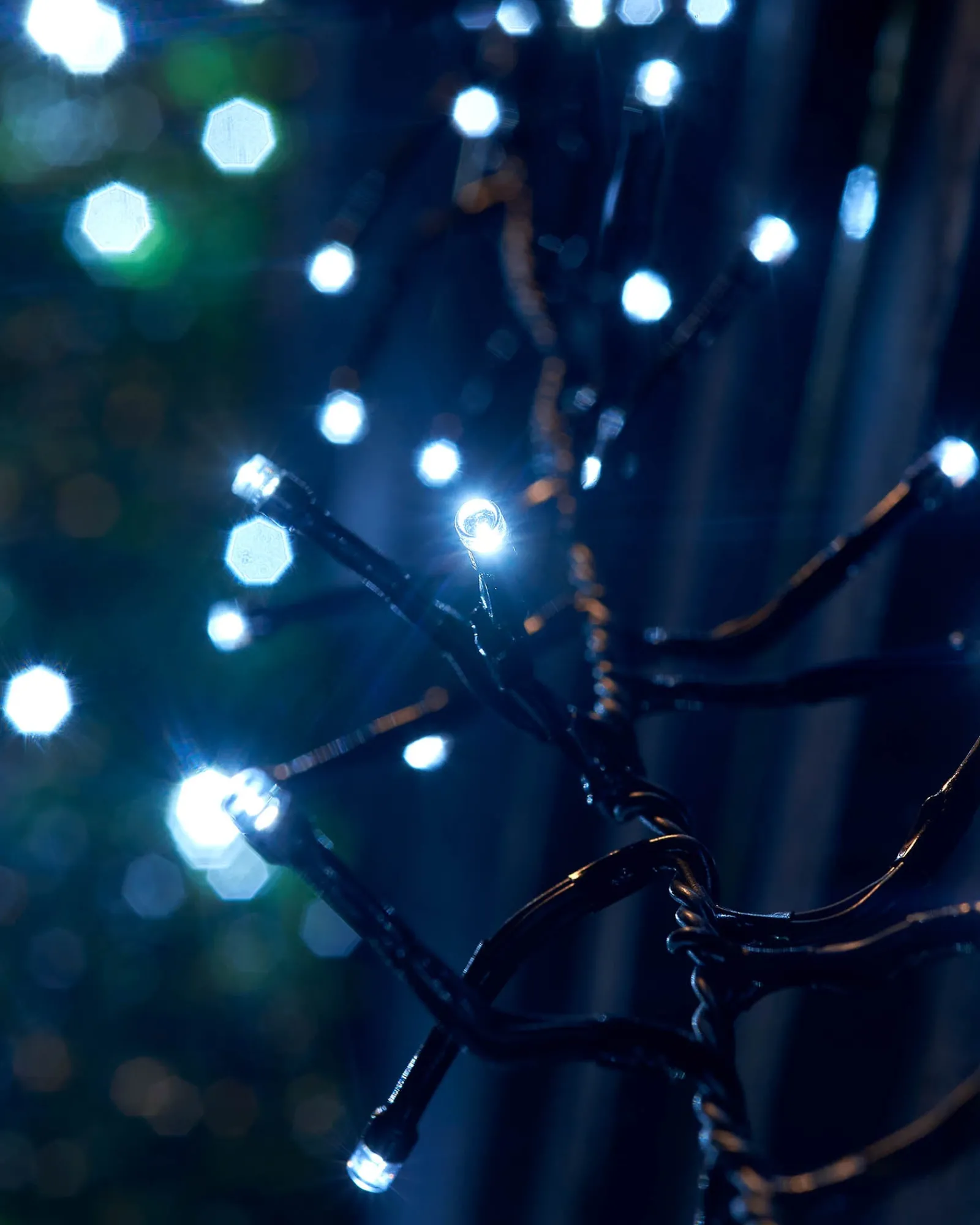 WeRChristmas Link Up|Connectable Lights^LINK UP LED Cluster Lights, Black Cable, White