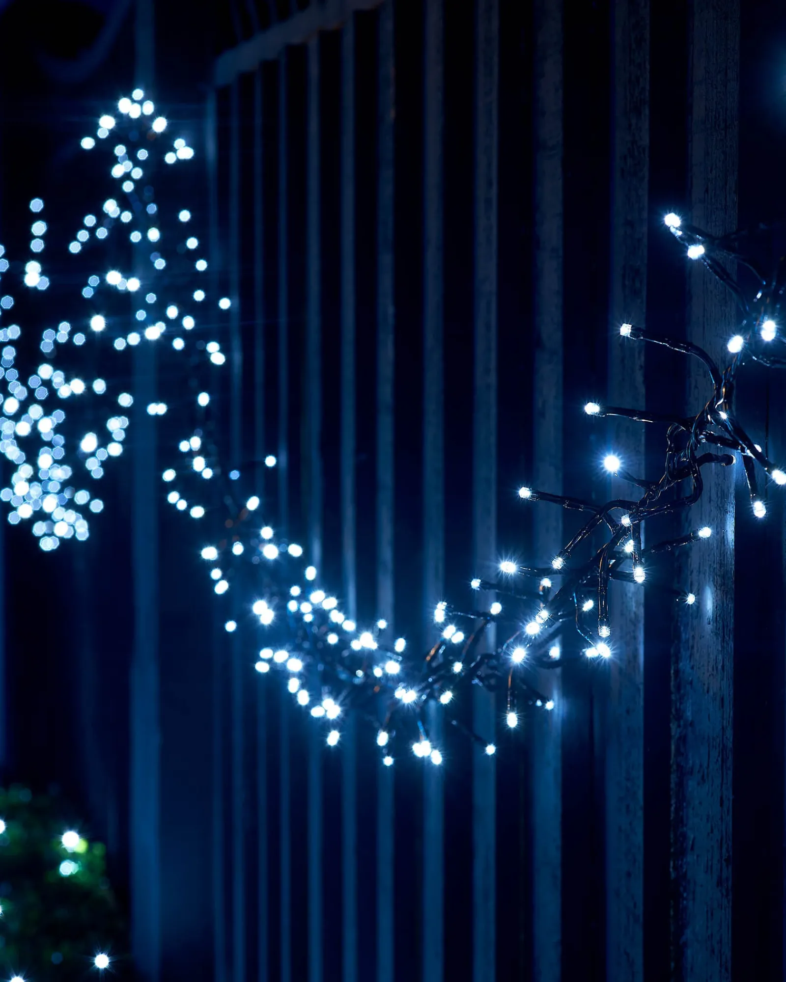 WeRChristmas Link Up|Connectable Lights^LINK UP LED Cluster Lights, Black Cable, White