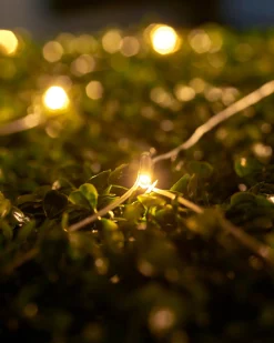 WeRChristmas Link Up^LINK UP LED Net Lights, 3 M X 3 M, Warm White