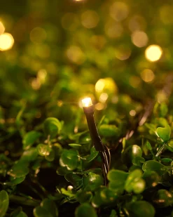 WeRChristmas Link Up|Fairy Lights^LINK UP LED String Lights, Black Cable, Warm White