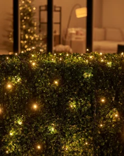 WeRChristmas Link Up|Fairy Lights^LINK UP LED String Lights, Black Cable, Warm White
