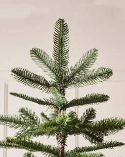 WeRChristmas Budget Christmas Trees|Unlit Christmas Trees^Nordmann Fir Christmas Tree, 6 Ft