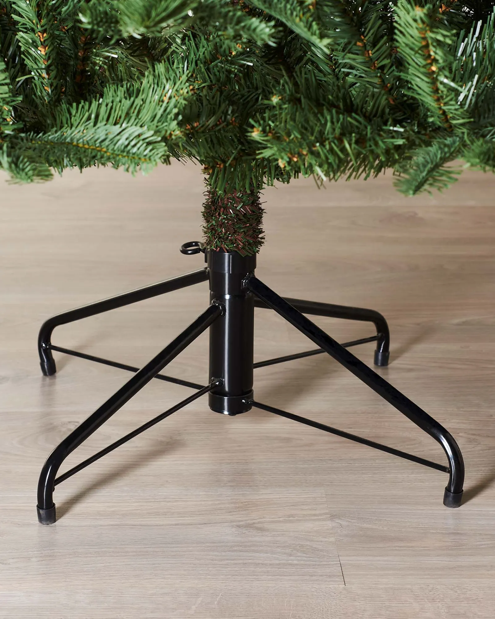 WeRChristmas Budget Christmas Trees|Unlit Christmas Trees^Nordmann Fir Christmas Tree, 6 Ft