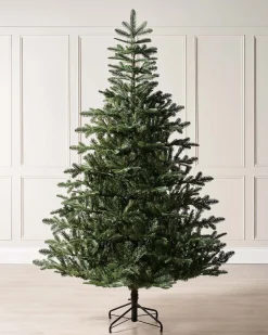 WeRChristmas Budget Christmas Trees|Unlit Christmas Trees^Nordmann Fir Christmas Tree, 6 Ft