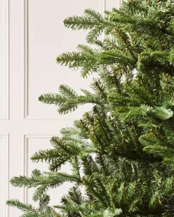 WeRChristmas Budget Christmas Trees|Unlit Christmas Trees^Nordmann Fir Christmas Tree, 6 Ft