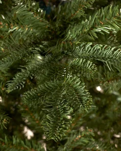 WeRChristmas Budget Christmas Trees|Unlit Christmas Trees^Nordmann Fir Christmas Tree, 6 Ft