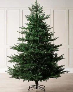 WeRChristmas Budget Christmas Trees|Unlit Christmas Trees^Northern Fir Christmas Tree, 6 Ft
