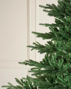 WeRChristmas Budget Christmas Trees|Unlit Christmas Trees^Northern Fir Christmas Tree, 6 Ft