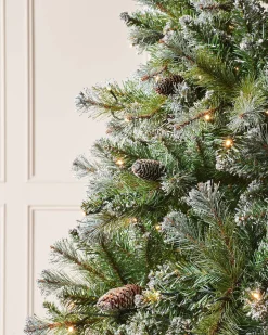 WeRChristmas Snow Flocked Christmas Trees|Pre Lit Christmas Trees^Pre-lit Blue Brockton Spruce Christmas Tree, 6 Ft