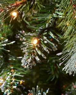 WeRChristmas Snow Flocked Christmas Trees|Pre Lit Christmas Trees^Pre-lit Blue Brockton Spruce Christmas Tree, 6 Ft