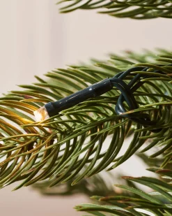 WeRChristmas Pre Lit Christmas Trees|Premium Christmas Trees^Pre-Lit Craford Pine Christmas Tree, 8 Ft