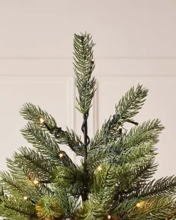 WeRChristmas Pre Lit Christmas Trees|Premium Christmas Trees^Pre-Lit Craford Pine Christmas Tree, 8 Ft