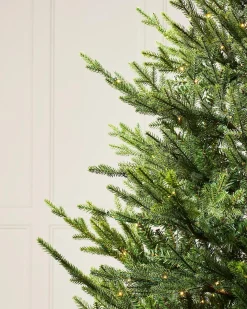 WeRChristmas Premium Christmas Trees|Pre Lit Christmas Trees^Pre-Lit Douglas Fir Christmas Tree, 6 Ft