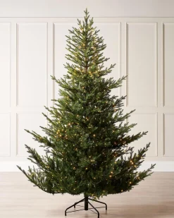WeRChristmas Premium Christmas Trees|Pre Lit Christmas Trees^Pre-Lit Douglas Fir Christmas Tree, 7 Ft