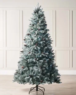 WeRChristmas Premium Christmas Trees|Budget Christmas Trees^Pre-Lit Edwardian Spruce Multi-Function Christmas Tree, 5 Ft