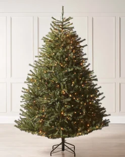 WeRChristmas Premium Christmas Trees|Pre Lit Christmas Trees^Pre-Lit Foxtail Pine Christmas Tree, 6 Ft
