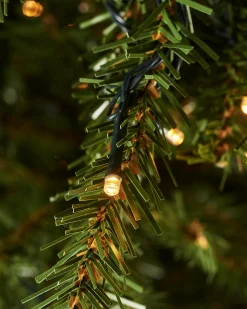 WeRChristmas Premium Christmas Trees|Pre Lit Christmas Trees^Pre-Lit Foxtail Pine Christmas Tree, 6 Ft