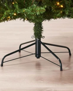 WeRChristmas Premium Christmas Trees|Pre Lit Christmas Trees^Pre-lit Grand Alaskan Fir Christmas Tree, Dual Warm White, 7 Ft