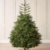 WeRChristmas Pre Lit Christmas Trees^Pre-Lit Grand Nordmann Fir Christmas Tree, 7 Ft