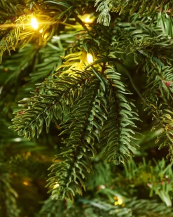 WeRChristmas Pre Lit Christmas Trees^Pre-Lit Grand Nordmann Fir Christmas Tree, 8 Ft