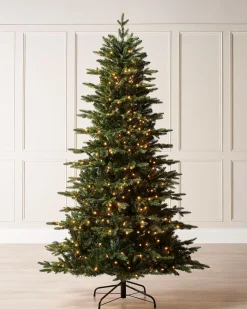 WeRChristmas Premium Christmas Trees|Pre Lit Christmas Trees^Pre-Lit Himalayan Fir Christmas Tree, 7 Ft