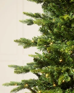 WeRChristmas Premium Christmas Trees|Pre Lit Christmas Trees^Pre-Lit Himalayan Fir Christmas Tree, 7 Ft