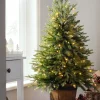 WeRChristmas Budget Christmas Trees|Potted Christmas Trees^Pre-Lit Potted Pine Christmas Tree, 4 Ft